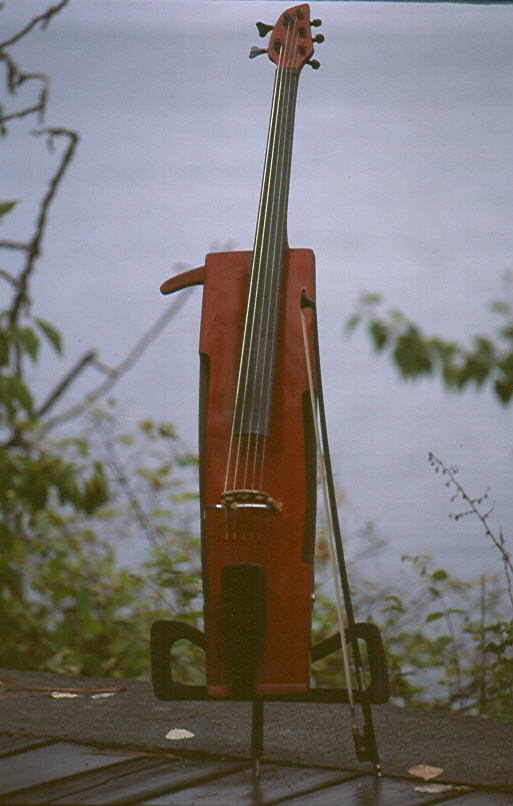 Lee Zimmerman - Cellist and Vocalist